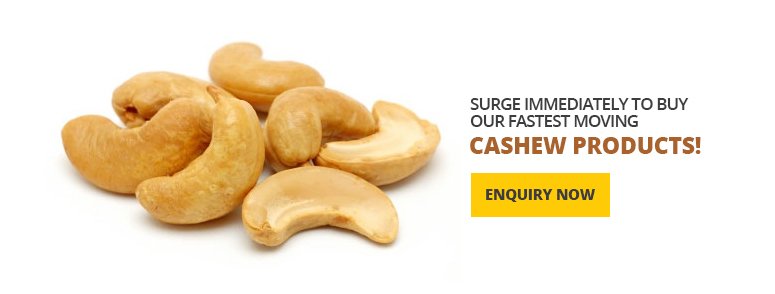 Panruti Cashew Nut Manufacturers